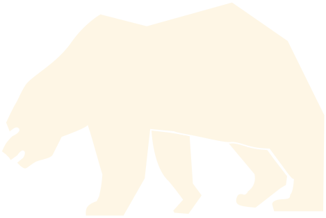 bear