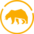 timeline-icon
