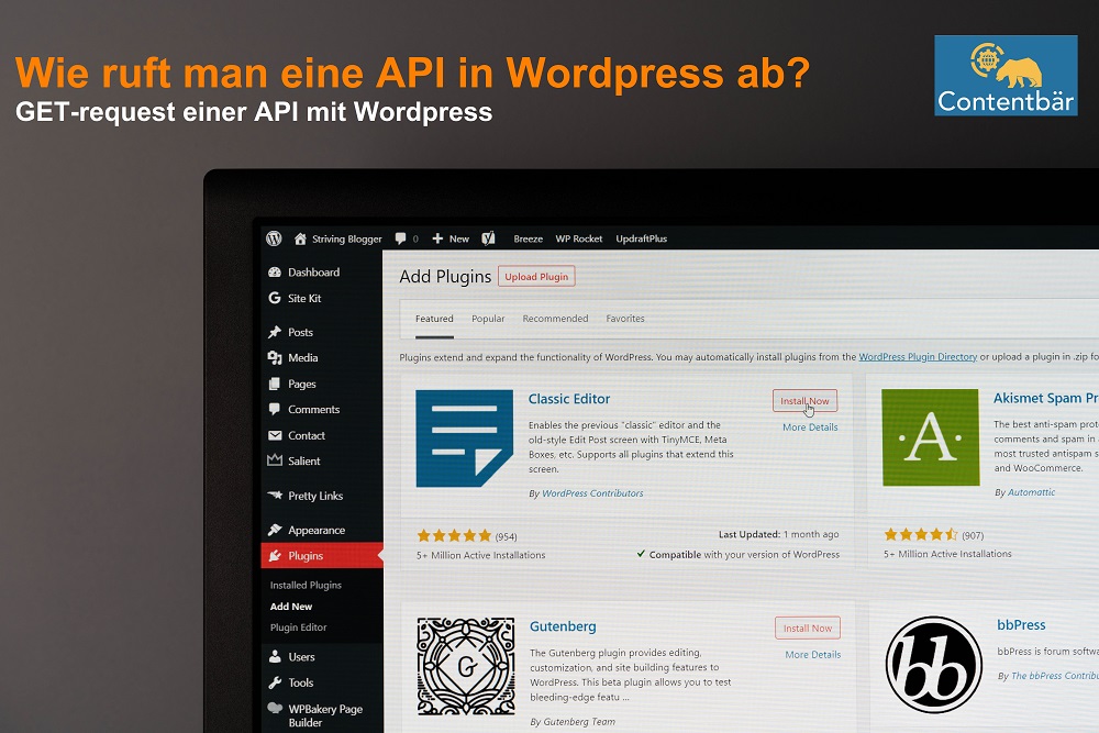 API in Wordpress einbinden