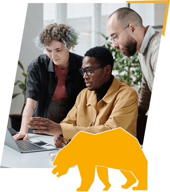 SEO Consultants